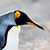 Antarctica