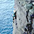 Climbing Ireland