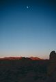 Joshua Tree